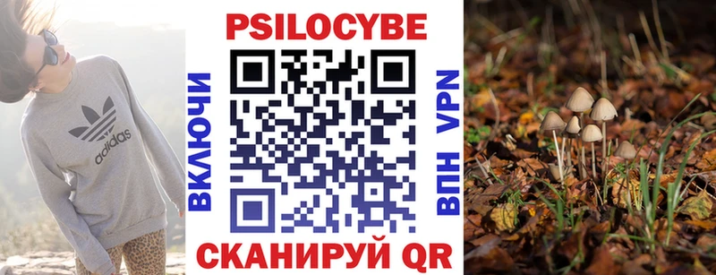 магазин    Горняк  Псилоцибиновые грибы Psilocybine cubensis 