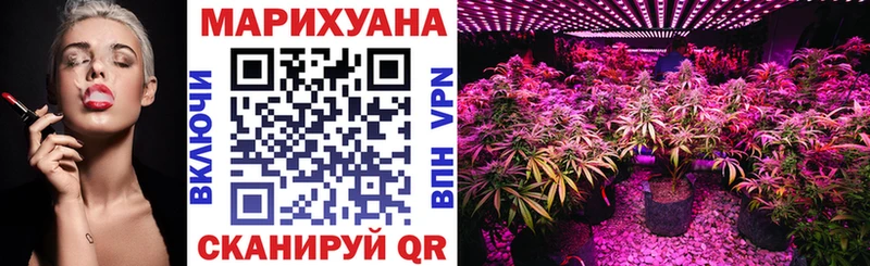 omg рабочий сайт  Горняк  Бошки марихуана SATIVA & INDICA 